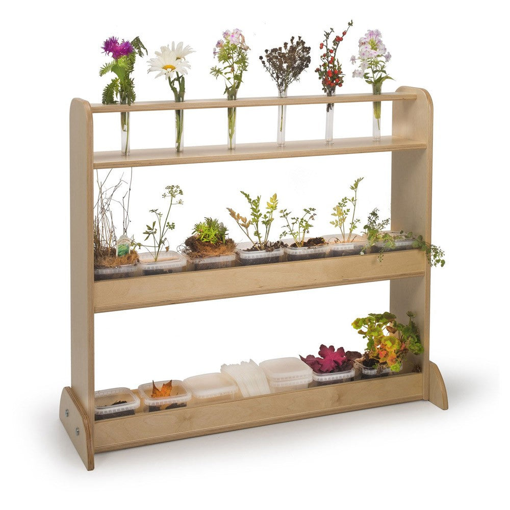 NATURE SHELF