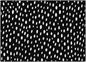 Black And White Spotty Rug