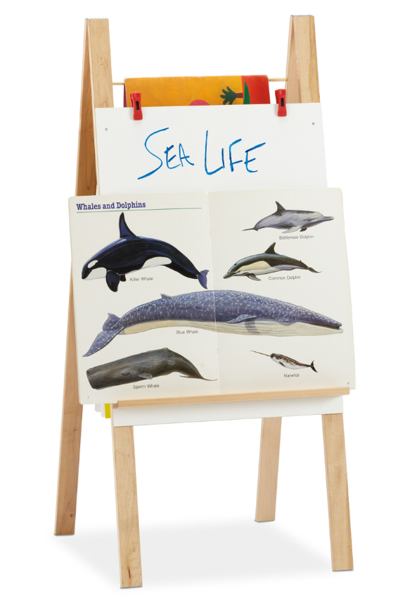 Jonti-Craft Teachers' Standard Easel - Write-n-Wipe