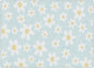 White Daisies On Blue Rug
