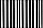 Simply Safari Black and White Zebra Rug