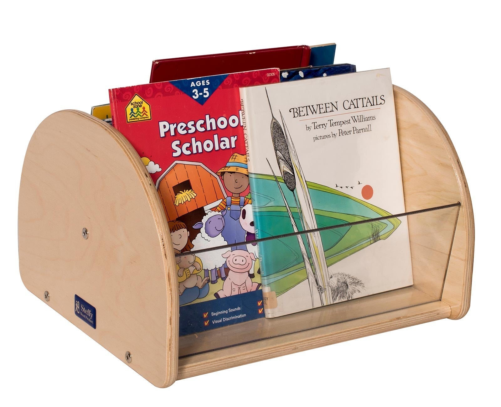 Easy View Toddler Book Bin